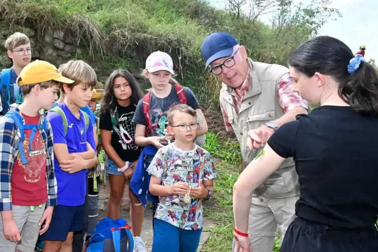 Erste Station am Nebelsbrunnen: Hier haben Ulli Zabel und die Kinder eine Große Schiefkopfschrecke entdeckt, die als stark gefäh