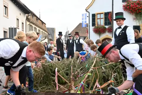 Kerwebuwe in Aktion: Auf dem Marktplatz wird die Spitze des Kerwebaums abgesägt.