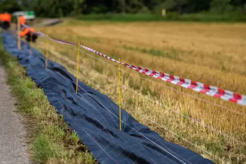 Schutzzäune gegen Afrikanische Schweinepest