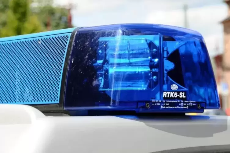 blaulicht_polizei_polizeiauto_foto_merkel (9)