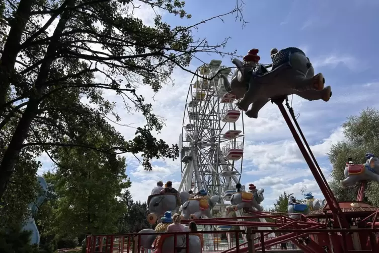 Die fliegenden Elefanten sind direkt neben dem Riesenrad zu finden. Gut zu wissen: Einige der Fahrgeschäfte im Didiland machen e