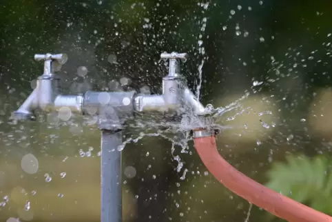 Liegt die Nitratkonzentration im Brunnenwasser deutlich über dem Grenzwert, sollte man damit kein Gemüse gießen. 