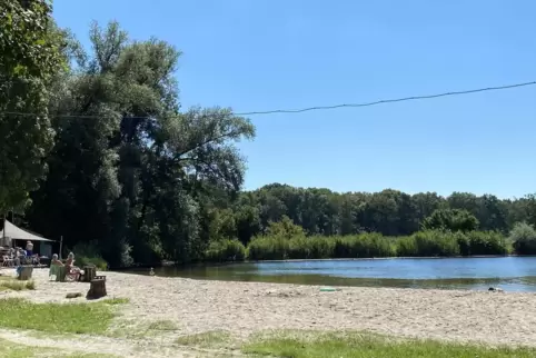 Gemeinhin ist es am Niederwiesenweiher ganz gemütlich.