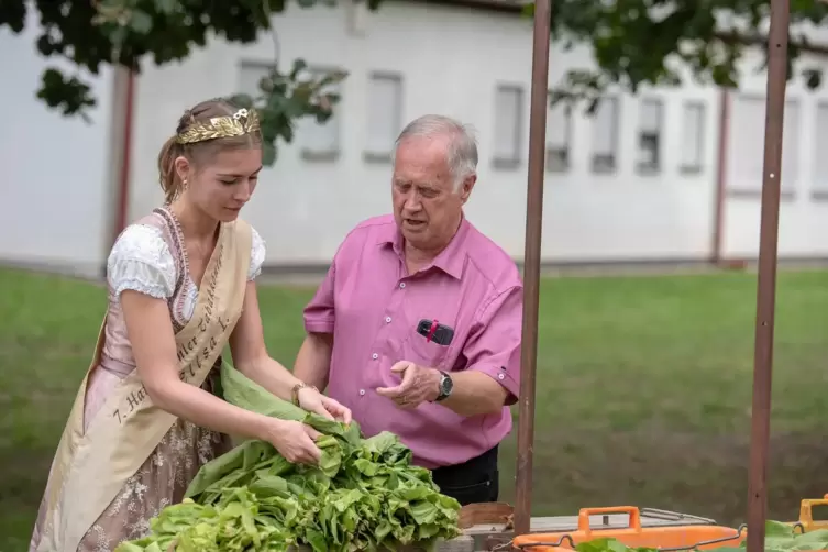 Der Tabakeinlesewettbewerb ist immer ein Höhepunkt beim Sommernachtsfest. Unser Foto stammt aus dem Jahr 2023 mit der Tabakkönig