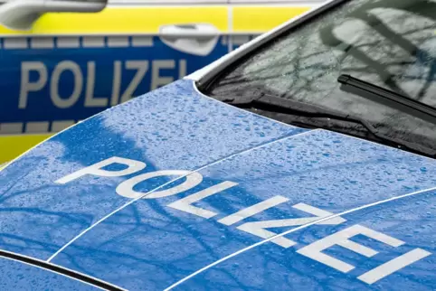 Symbolfoto Polizei