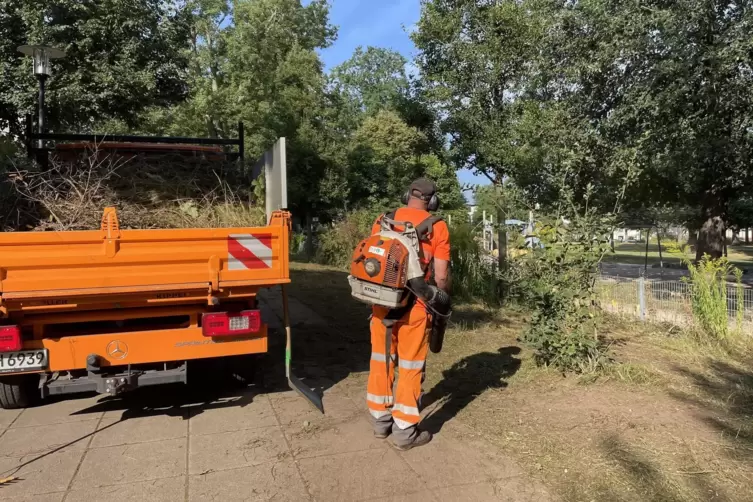 Markus Koch, Gärtner von der Stadtbildpflege, im Einsatz. 