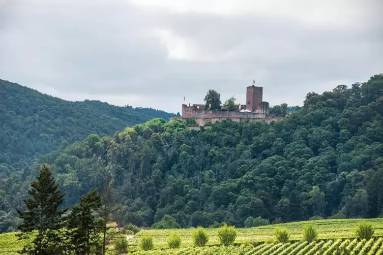 Mehr als 100.000 Besucher lockt die imposante Burgruine oberhalb von Klingenmünster alljährlich an. 