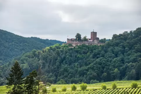 Mehr als 100.000 Besucher lockt die imposante Burgruine oberhalb von Klingenmünster alljährlich an. 