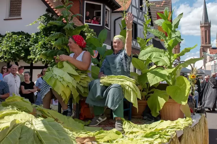 Die Owwerdorfer Mädle zeigten, wie in früherer Zeit Tabak eingelesen und eingefädelt wurde. 