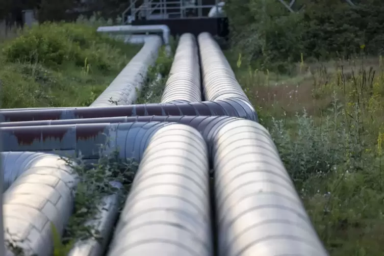 Kilometerlange Leitungen: Von der BASF-Kläranlage aus soll eine Hauptleitung in Richtung Ludwigshafener Norden verlegt werden. 