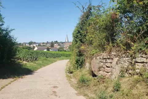 Auf dem neuen Rundwanderweg mit Blick nach Norden auf Großkarlbach.