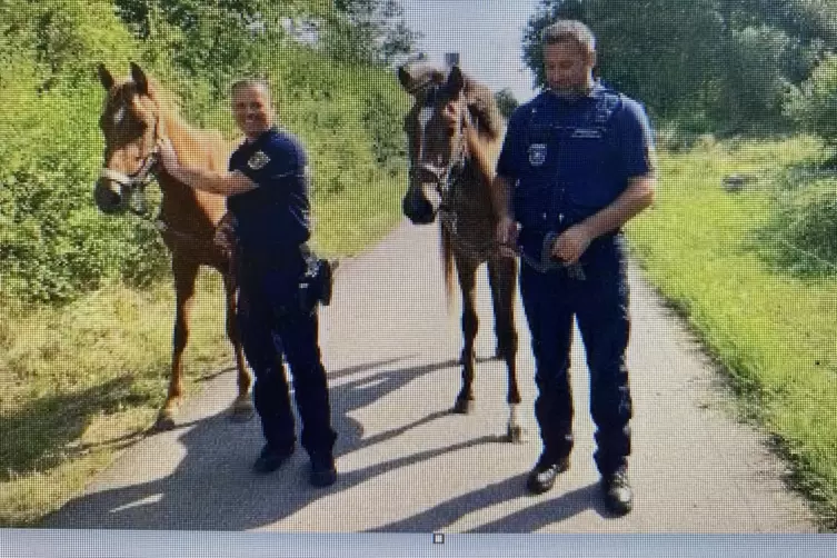 Erinnerungsfoto zu einem ungewöhnlichen Einsatz: KVD-Mitarbeiter retten Pferde. 