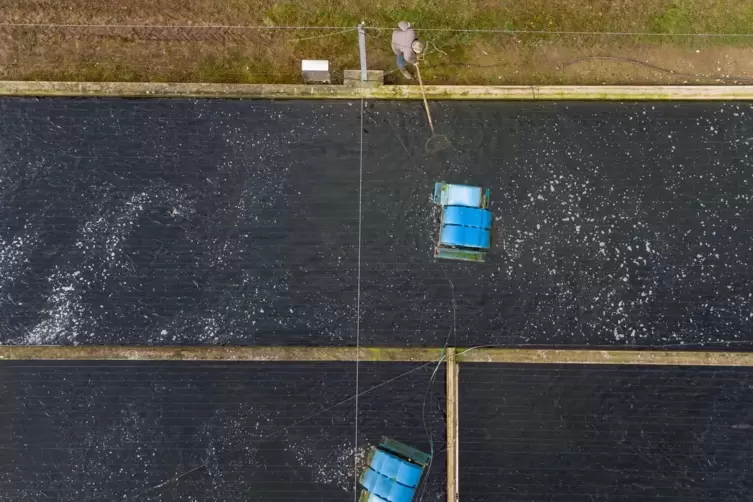 Aquakultur in Niedersachsen