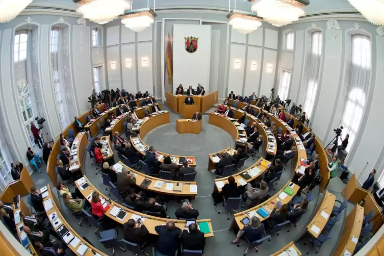 Im rheinland-pfälzischen Landtag will Martin Haller über politische Entscheidungsprozesse informieren. 