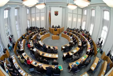 Im rheinland-pfälzischen Landtag will Martin Haller über politische Entscheidungsprozesse informieren. 