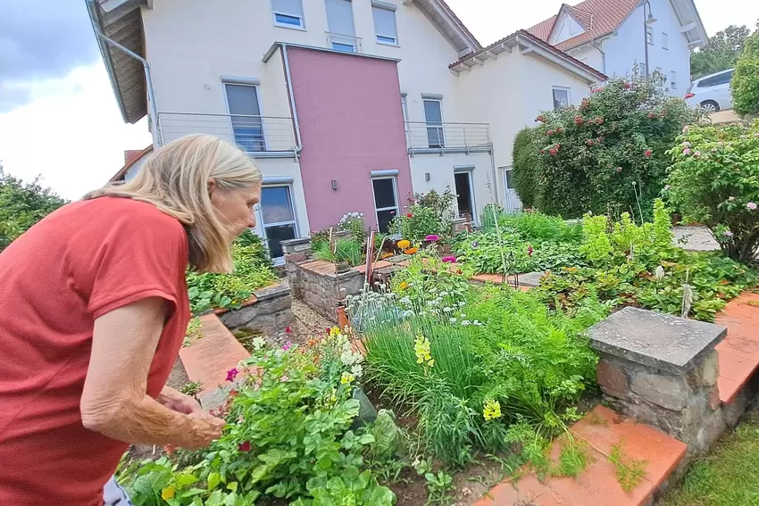 Ihren Bauerngarten hat die Familie als Hochbeet in U-Form eingerichtet. Die Gurkenernte läuft auf Hochtouren. Buschbohnen, Salat