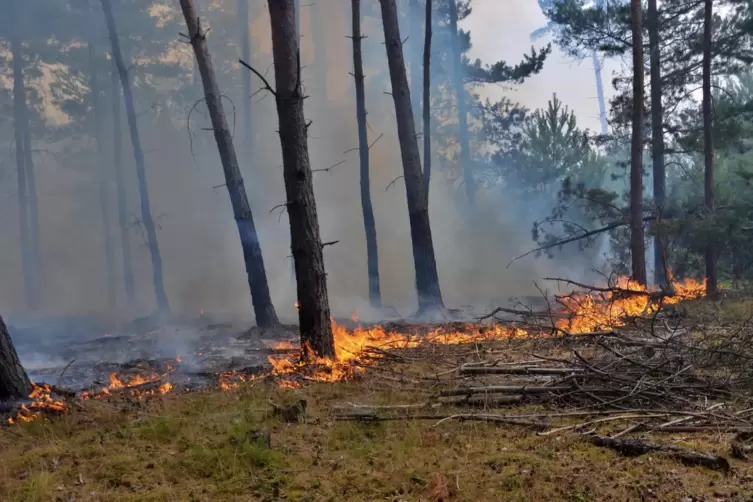 Im Hochsommer genügt eine unachtsam weggeworfene Zigarette, um einen Flächenbrand auszulösen.