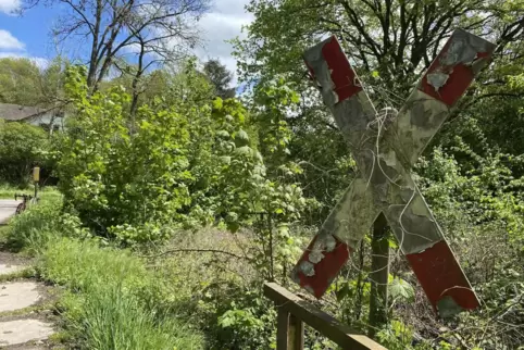 Seit rund 35 Jahren fahren keine Züge von Homburg nach Zweibrücken. Die Strecke ist mittlerweile an vielen Stellen zugewuchert.