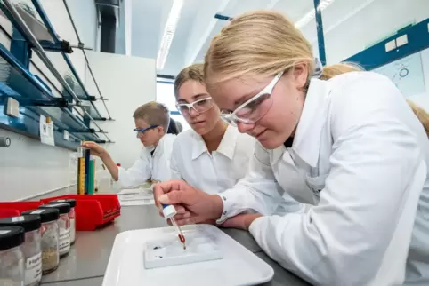 Teens' Lab bei der BASF: Beim eintägigen Ferienworkshop „Expedition Erdreich“ formulieren die Jugendlichen eigene Forscherfragen