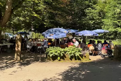 Die teilnehmenden Senioren verbrachten gemeinsam Zeit im Biergarten der Kneispermühle . 