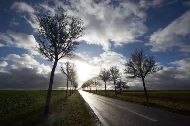 Einen Sonne-Wolken-Mix erwartet der DWD zu Wochenbeginn.