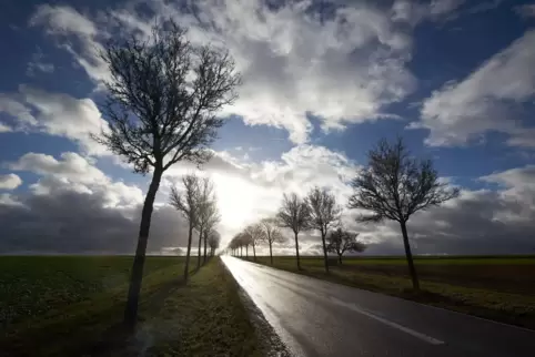 Einen Sonne-Wolken-Mix erwartet der DWD zu Wochenbeginn.