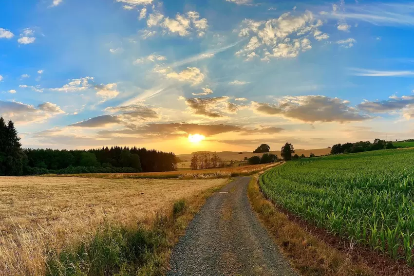 Begehbares Geschichtsbuch. Der Panoramaweg Breitenbach, im oberen Glantal, hier vom Bambergerhof kommend Richtung Naturerlebniss