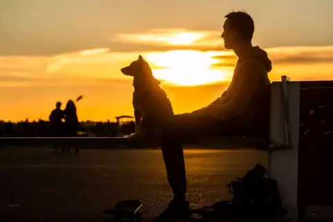 Ein Mann sitzt während des Sonnenuntergangs auf einer Bank