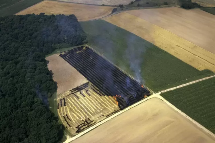 Auch um Folgen des Klimawandels geht es in Reinhard Kaiser-Mühleckers inzwischen achten Roman „Brennende Felder“. 