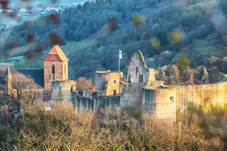 Neue Erkenntnisse zu Burg Neuleiningen verspricht ein Vortrag von Hans-Joachim Kühn.