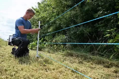 Elektrozaun zur Eindämmung der Schweinepest