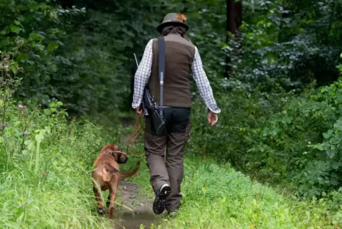 Jäger bewerten den neuen Entwurf des Jagdgesetzes als „entschärft“.