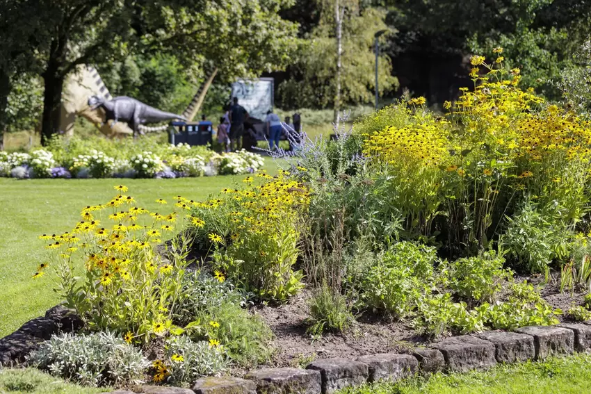 Auf dem Gartenschaugelände wird es herbstlich ...