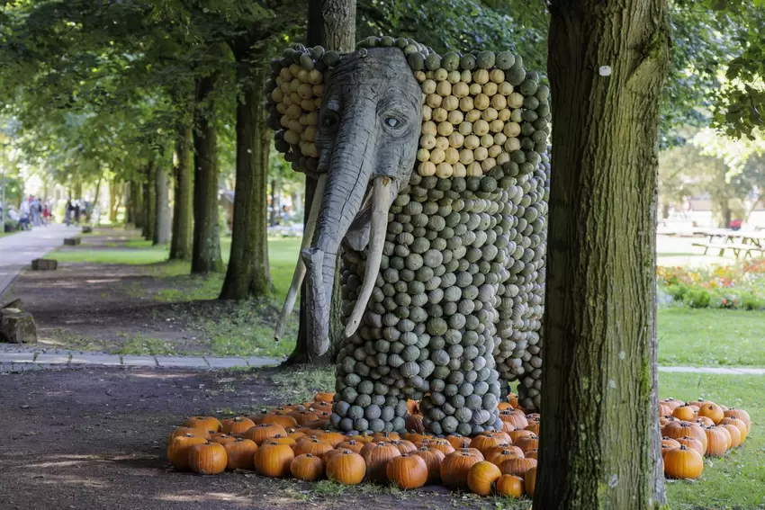 Auch der Elefant ist beeindruckend groß.