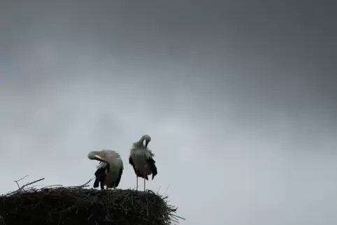 Wetter in Baden-Württemberg