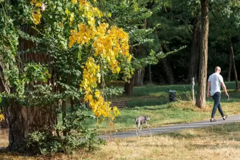 Vor dem meteorologischen Herbstanfang