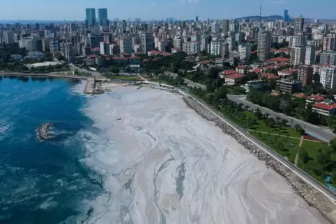 Dickflüssige Grütze an der Wasseroberfläche: Küste vor Istanbul im Frühsommer 2021.