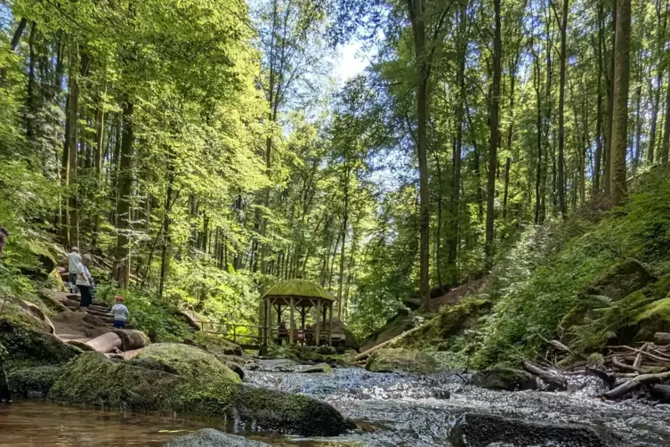 Im August schien die Sonne 296 Stunden. Bei hochsommerlichen Temperaturen waren schattige Plätze – etwa hier im Karlstal – sehr 