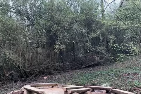 Die Sitzgruppe auf dem Waldgrundstück der Kita. 