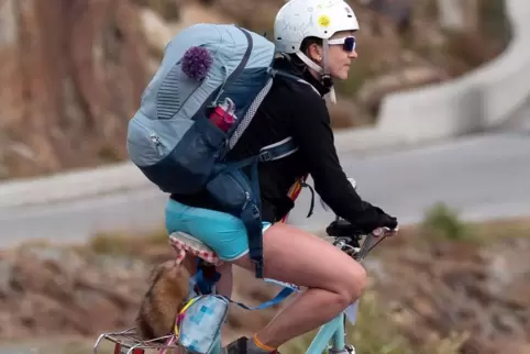 Die Klappauterfrau Carolin Bleisteiner hat auf dem Klapprad die Alpen überquert.