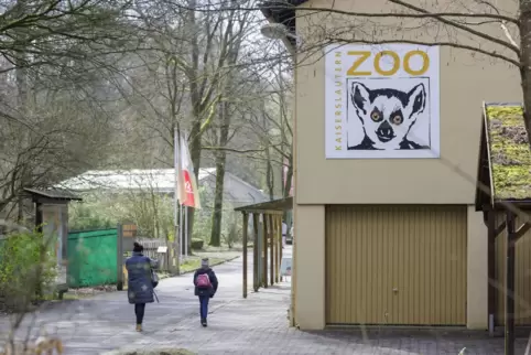 2025 will die Stadt den Zoo mit einer Million Euro unterstützen.