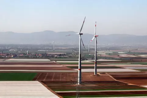 Bei Dannstadt-Schauernheim: Zwei Windräder, die Windkraft-Gegner als Argument heranziehen. 