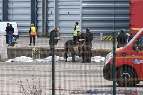 Zwölf Tote bei Bootsunglück im Ärmelkanal