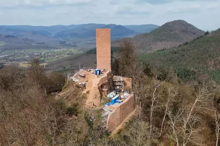 Die große Waldbaustelle geht in die finale Phase. 