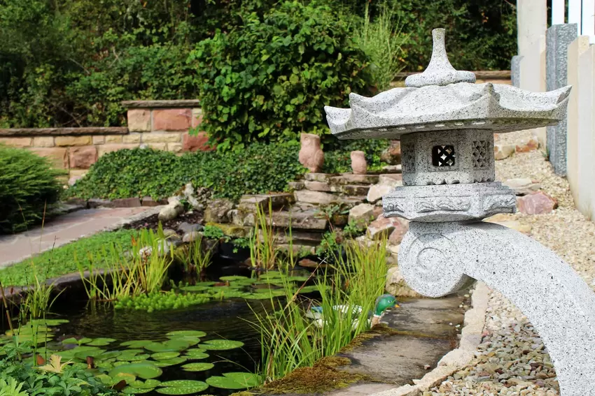 Am früheren Standort eines Apfelbaums dominiert nun ein Teich das Geschehen.