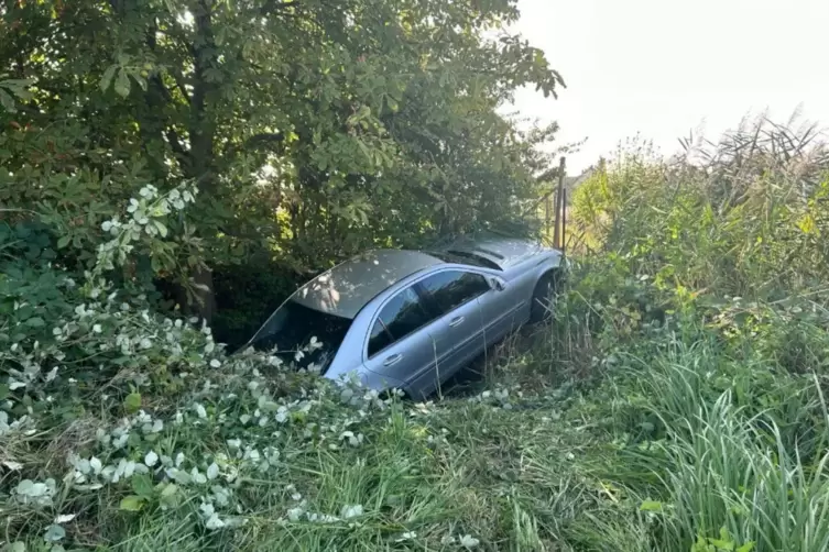 Der Wagen musste geborgen und abgeschleppt werden.