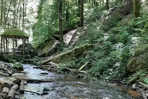 Die Senioren-Wanderung führt durch das Karlstal zum Naturfreundehaus Finsterbrunnertal. 