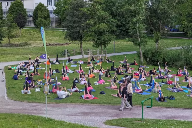 Die Yoga-Kurse bei Sport im Strecktalpark waren in dieser Saison mit Abstand am stärksten gefragt