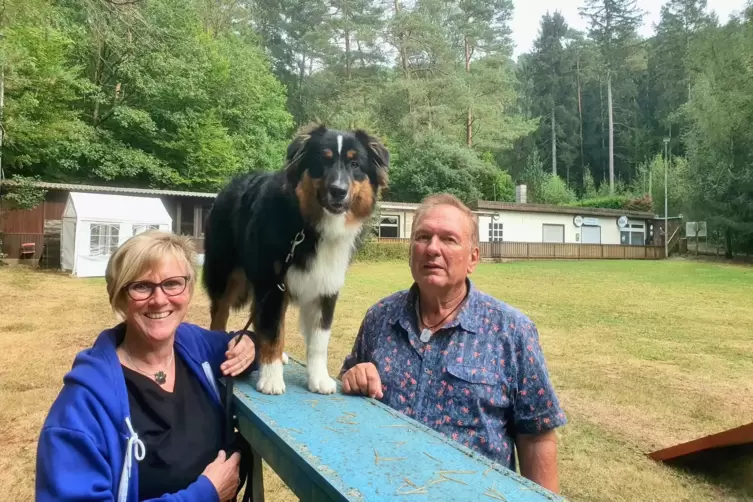 Hund und Mensch müssen gerne miteinander trainieren, sagt Trainer Paul Nissle.Das bestätigen Monika Küntzler und ihr Hund Wilson