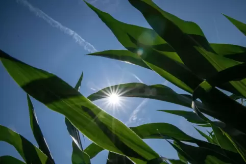 Sommerwetter in Nordbayern